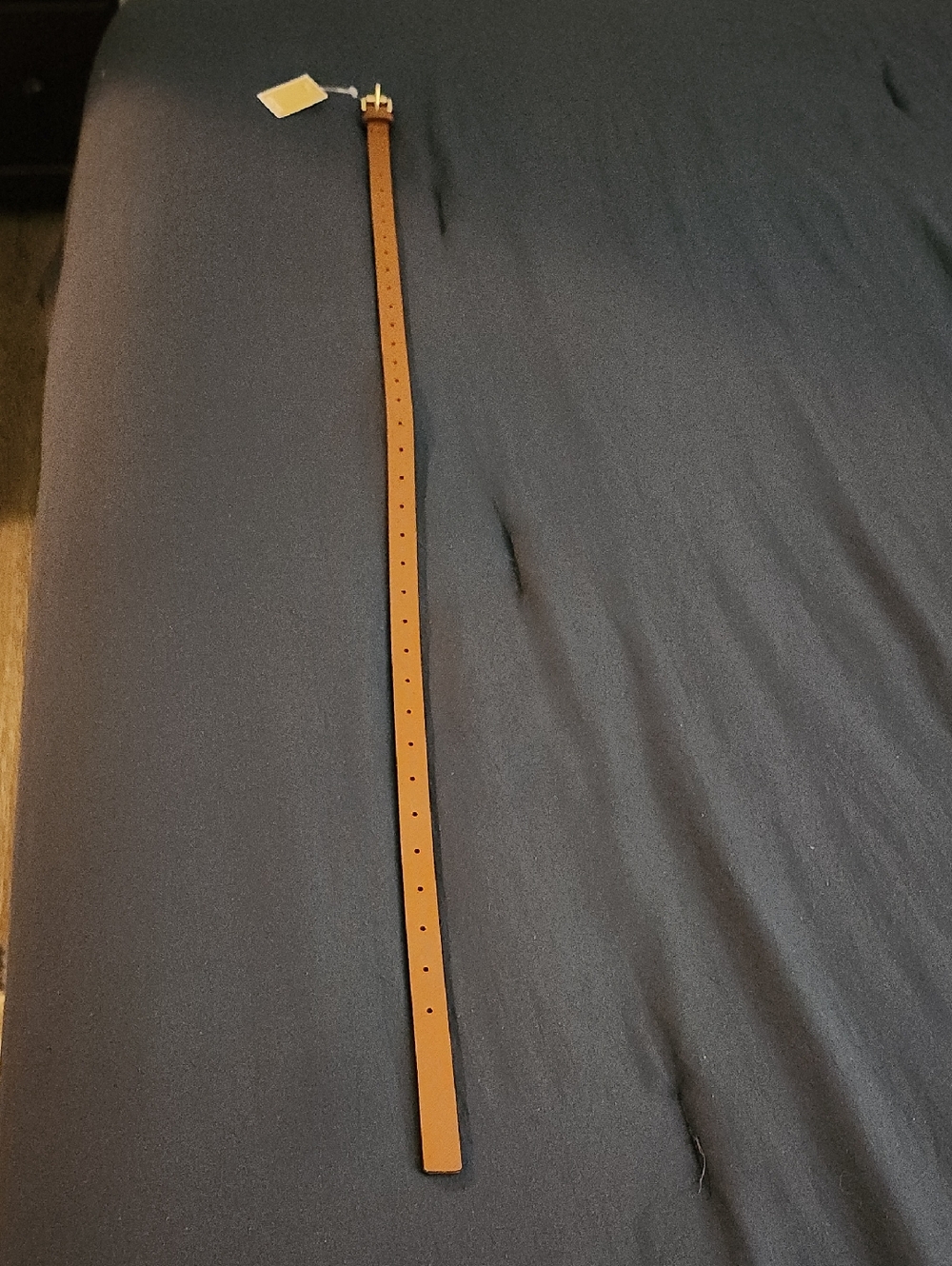 MICHAEL Michael Kors Brown Belt